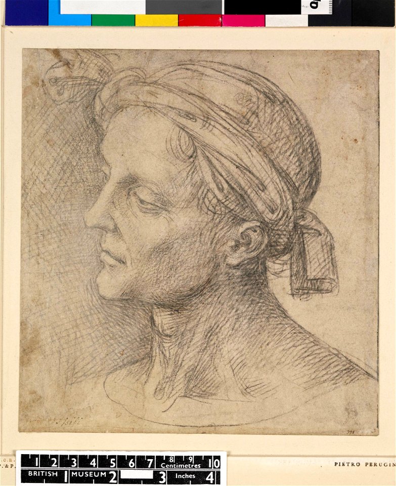 Perugino - Head of a man to left wearing a knotted headscarf, 1895,0915.600