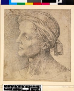 Perugino - Head of a man to left wearing a knotted headscarf, 1895,0915.600