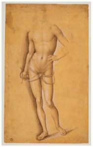 Perugino - inv 126 E