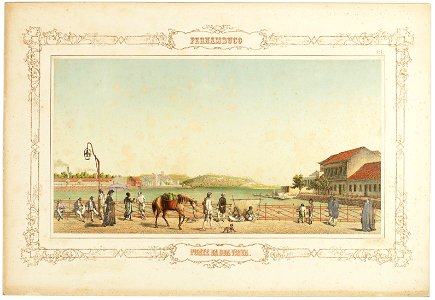 Pernambuco Nº. 7. Ponte da Boa Vista, da Coleção Brasiliana Iconográfica