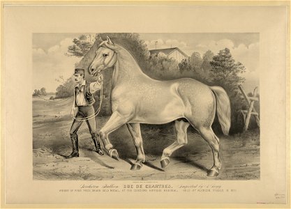 Percheron stallion Duc de Chartres, imported by A. Rogy- winner of first prize, grand gold medal, at the Concours Hippique Regional; held at Alencon, France, in 1873 LCCN2001700576