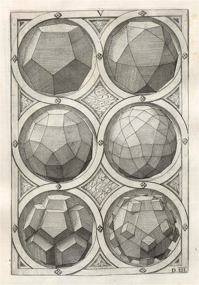 Perspectiva Corporum Regularium 27