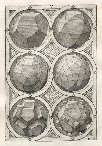 Perspectiva Corporum Regularium 27