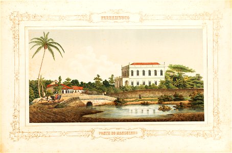 Pernambuco Nº. 10 Ponte do Manguinho, da Coleção Brasiliana Iconográfica