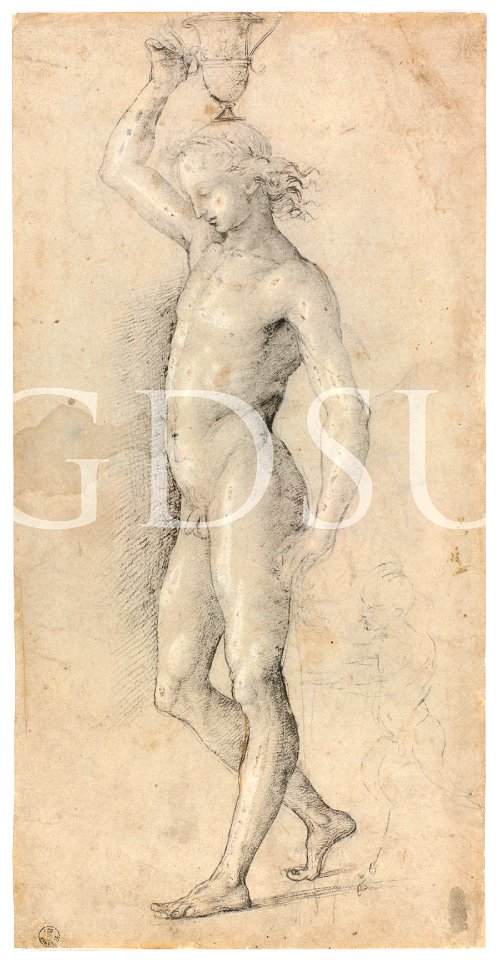 Perugino - inv 531 E