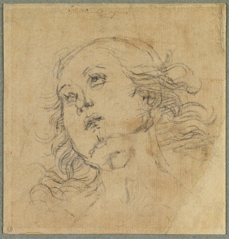 Perugino - Tête de jeune homme, 1315-03