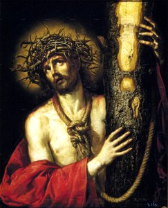 Pereda-varon de dolores
