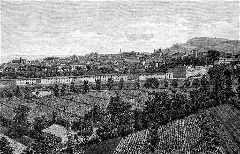 Pesaro – Panorama della città (xilografia)