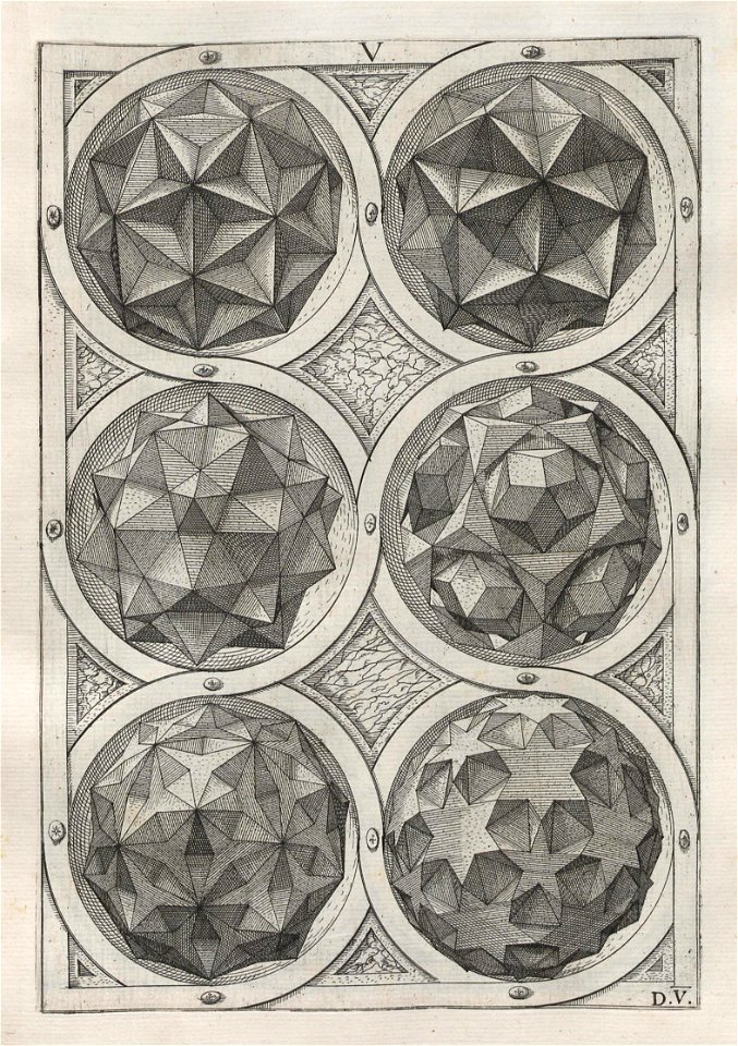 Perspectiva Corporum Regularium 28