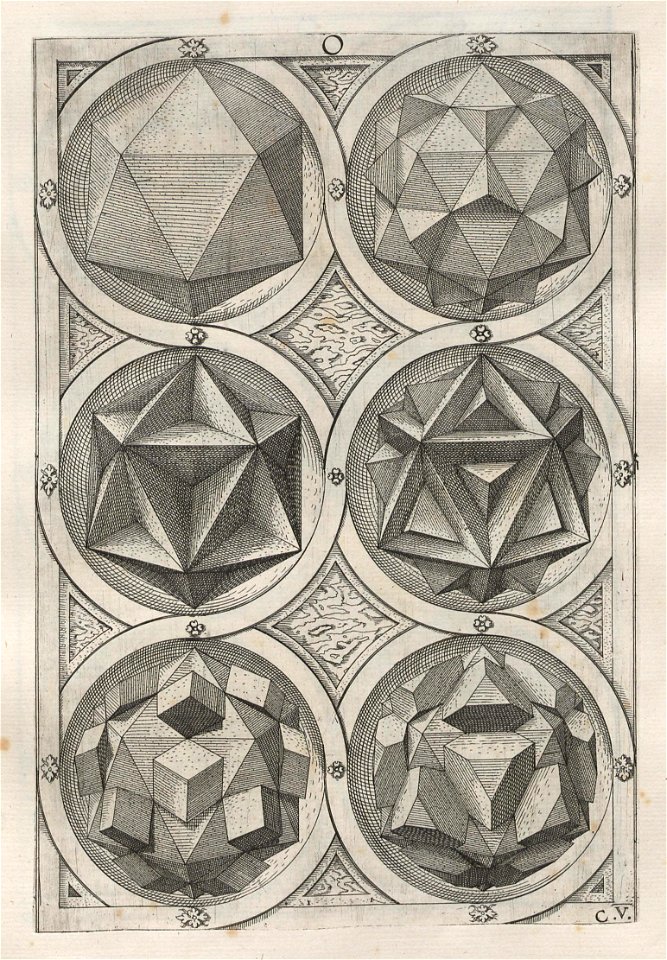 Perspectiva Corporum Regularium 22