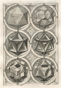 Perspectiva Corporum Regularium 22