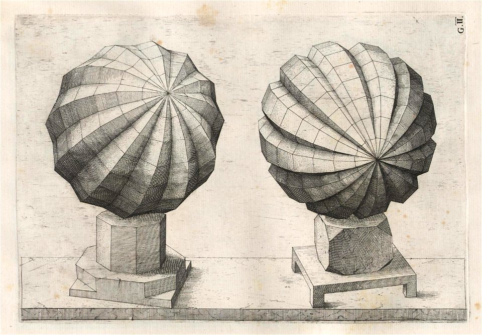 Perspectiva Corporum Regularium 43