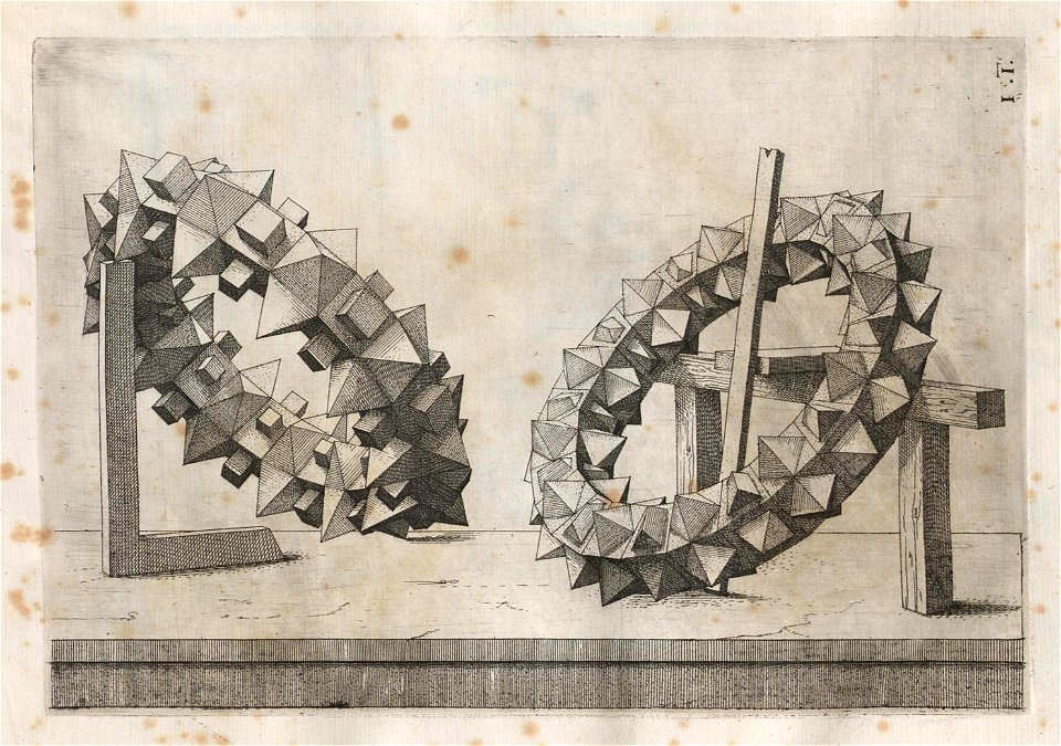 Perspectiva Corporum Regularium 52