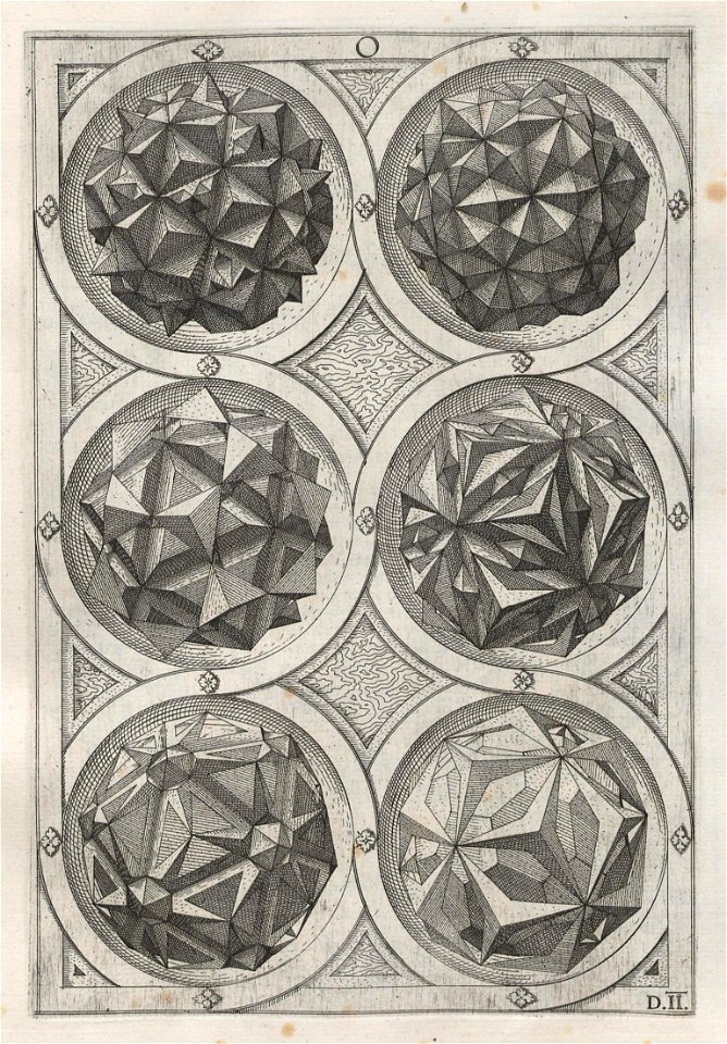 Perspectiva Corporum Regularium 25