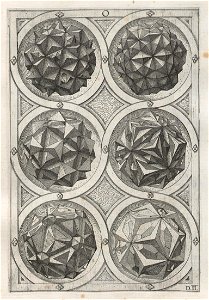 Perspectiva Corporum Regularium 25