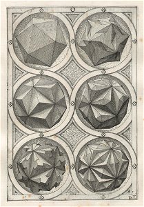 Perspectiva Corporum Regularium 24