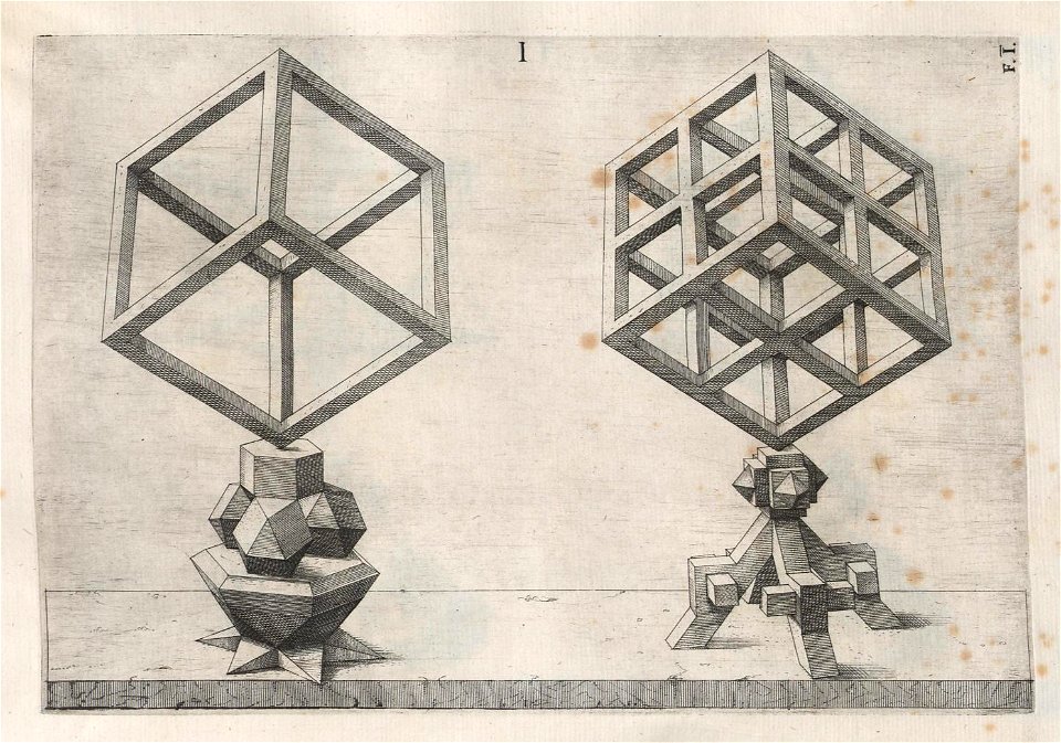 Perspectiva Corporum Regularium 36