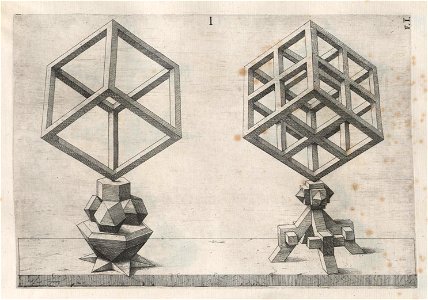 Perspectiva Corporum Regularium 36
