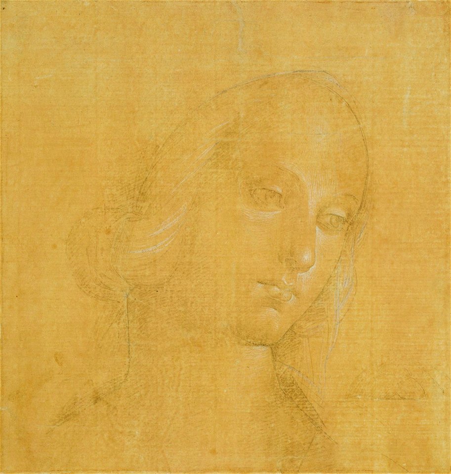 Perugino - A study for the head and foot of the Virgin c.1492-3, RCIN 912744