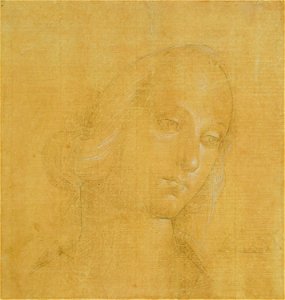 Perugino - A study for the head and foot of the Virgin c.1492-3, RCIN 912744