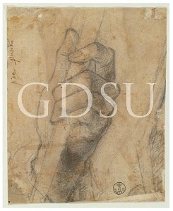 Perugino - ambito - inv 85 S r.