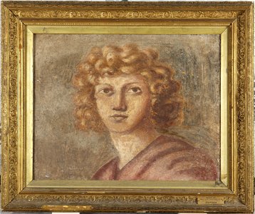 Perino del Vaga (Pietro Buonaccorsi) - Head of a Youth - y1935-56 - Princeton University Art Museum