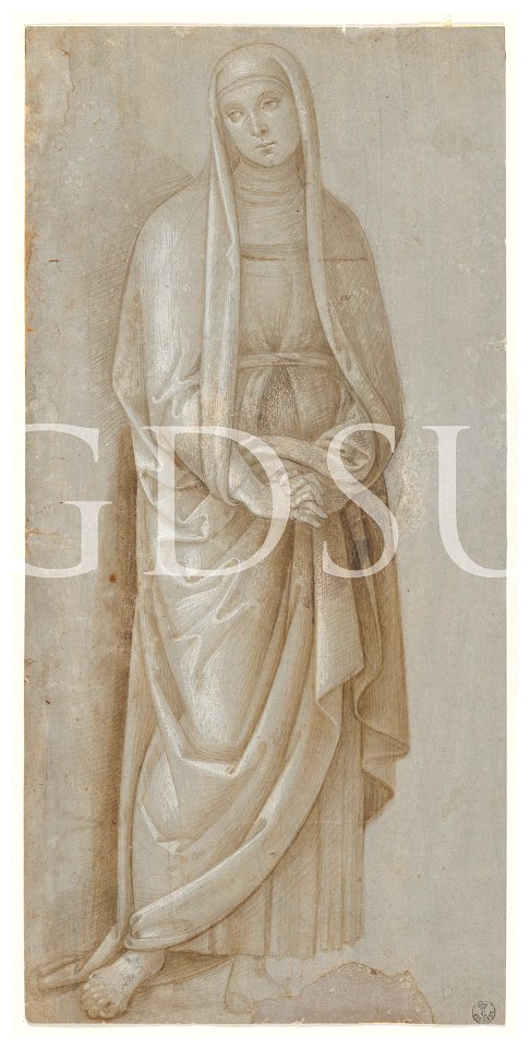 Perugino - inv 417 E