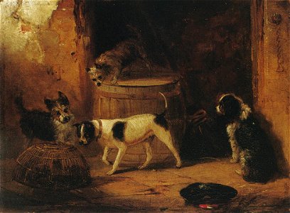 Perros ratoneros - James Ward