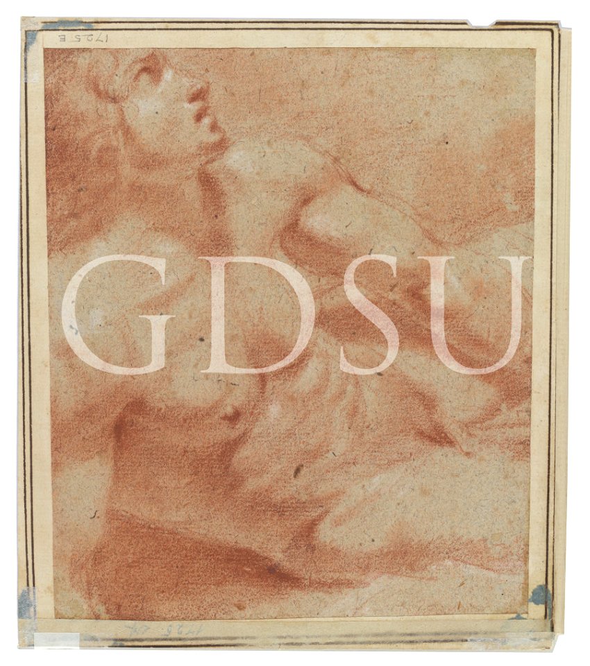 Perugino - inv 1725 E v.