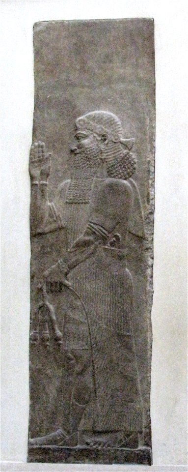 Person carrying a poppy flower-AO 19870-panoramio (12)