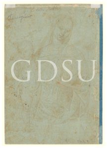 Perugino - scuola - inv 503 E v.
