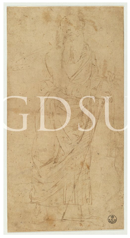 Perugino - inv 10908 F
