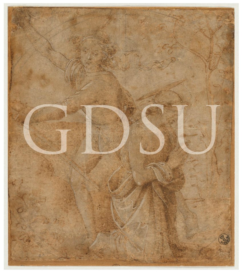 Perugino - inv 1116 E
