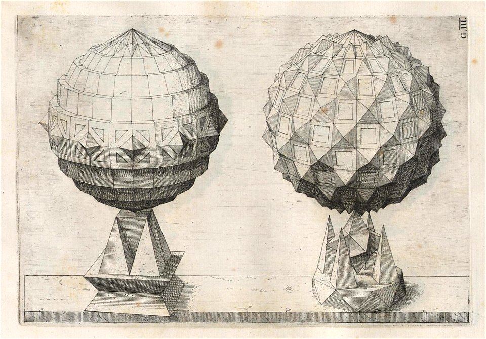 Perspectiva Corporum Regularium 44