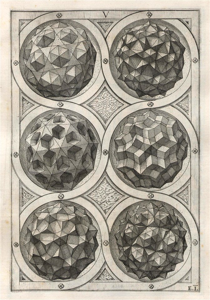 Perspectiva Corporum Regularium 30