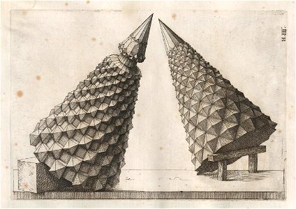 Perspectiva Corporum Regularium 50