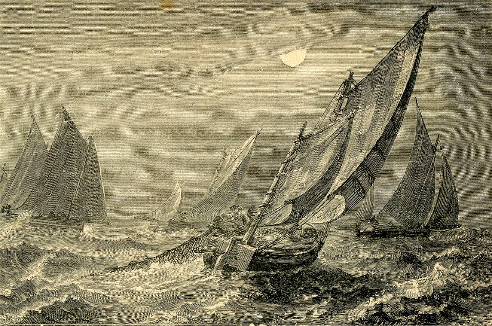 Pesca del Maccarello
