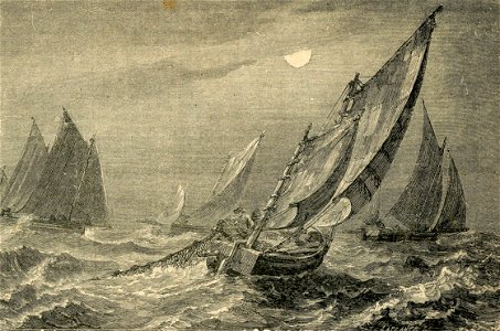 Pesca del Maccarello