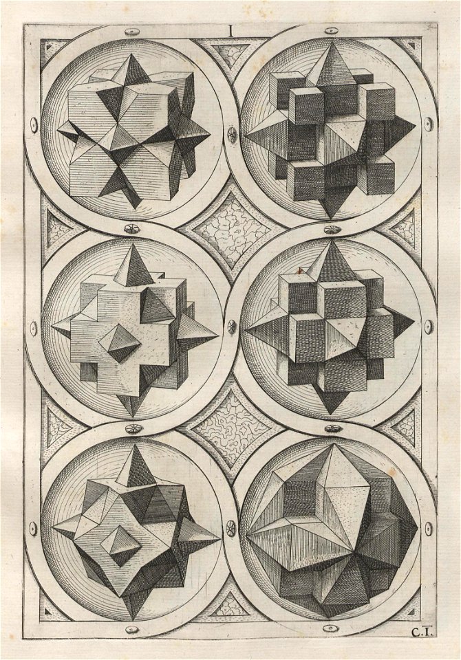 Perspectiva Corporum Regularium 18