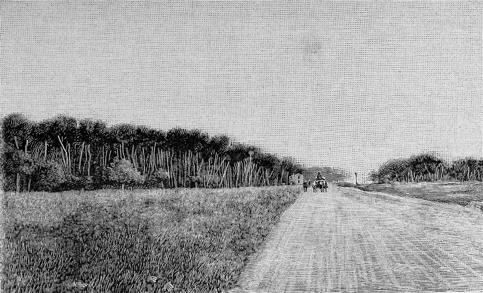 Pescara – La Pineta (xilografia)