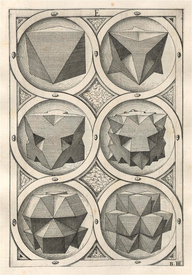Perspectiva Corporum Regularium 14
