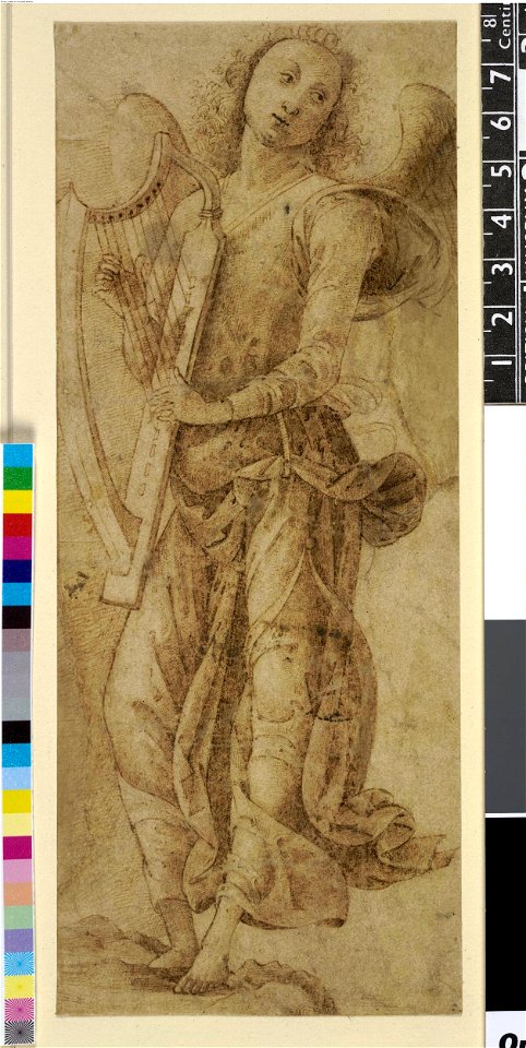 Perugino - After - An angel playing a harp, after Perugino, 1895,0915.464