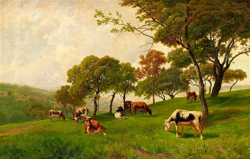Peter Bücken Kuhweide