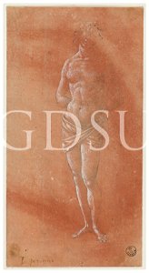 Perugino - inv 1147 E