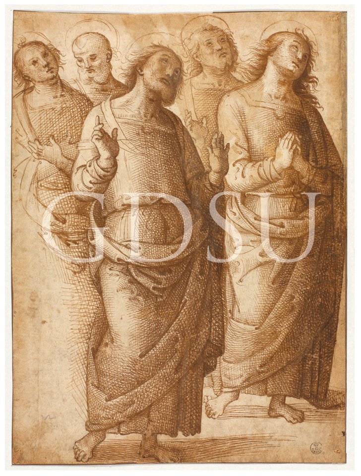 Perugino - inv 405 E r.