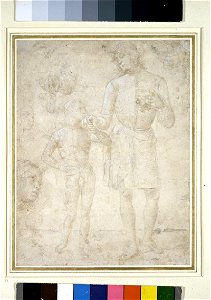 Perugino ; Raphael - Studies for Tobias and the Angel, WA1846.3