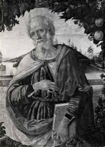 Perugino - San Pietro, inv. 25