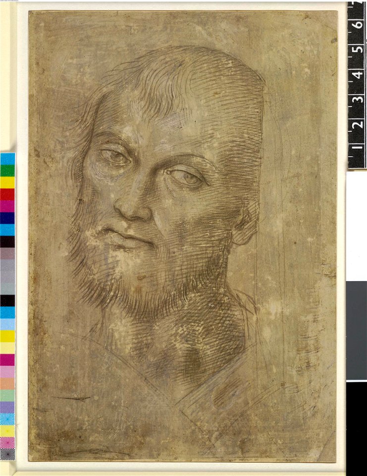 Perugino - Head of a man with a short beard, to front, his head inclined slightly to right, 1895,0915.597