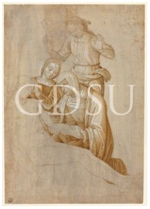 Perugino - copia da - inv 412 E