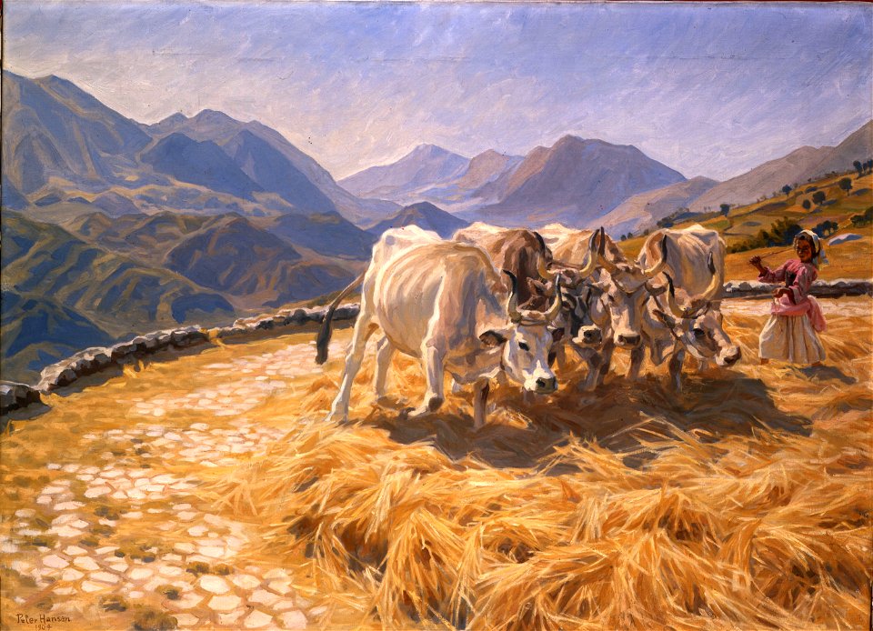 Peter Hansen, Tærskende okser, Civita d'Antino, 1904, 63 WH, Ordrupgaard